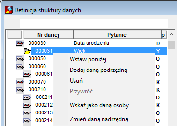 Polecenia w oknie Definicja struktury danych