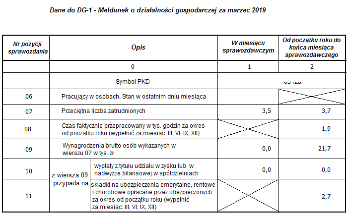 Przykładowy raport Dane do DG-1 Przykładowy raport Dane do DG-1