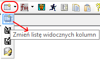 Zmiana listy widocznych kolumn