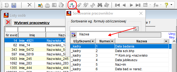 Sortowanie zbioru wybranych pracowników według formuły Sortowanie zbioru wybranych pracowników według formuły