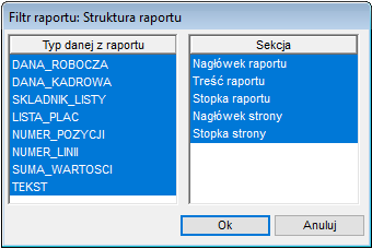 Podgląd okna wydruku struktury raportu Podgląd okna wydruku struktury raportu