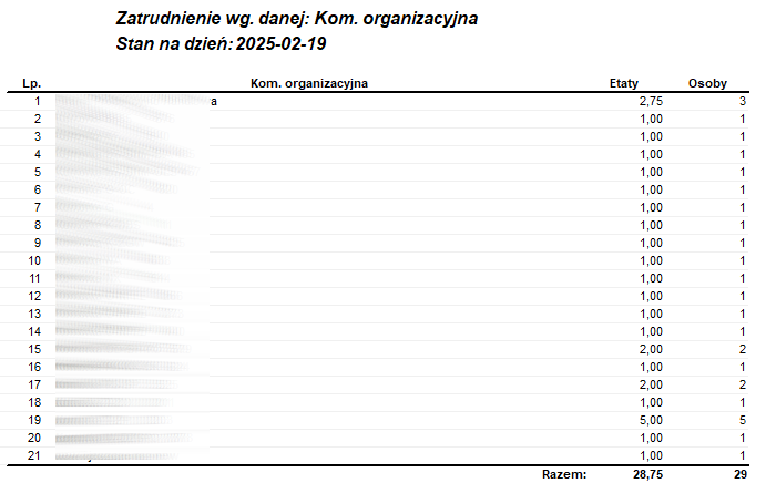 Raport Zatrudnienie wg wskazanej danej Raport Zatrudnienie wg wskazanej danej