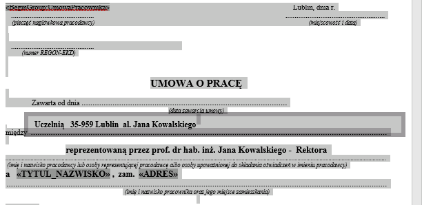 Szablon raportu utworzony skryptem